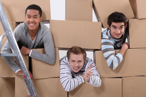 Accessibility requests section for Man With Van Movers support
